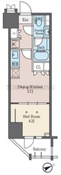 ベルファース大森Southの物件間取画像